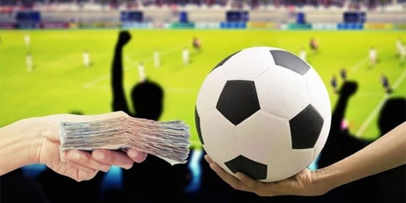 Lý do tại sao cá độ bóng đá luôn thua hội viên cần biết